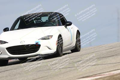 media/Mar-30-2025-Speed Ventures (Sun) [[39e6b1441d]]/Yellow/Session 2 (Grapevine)/